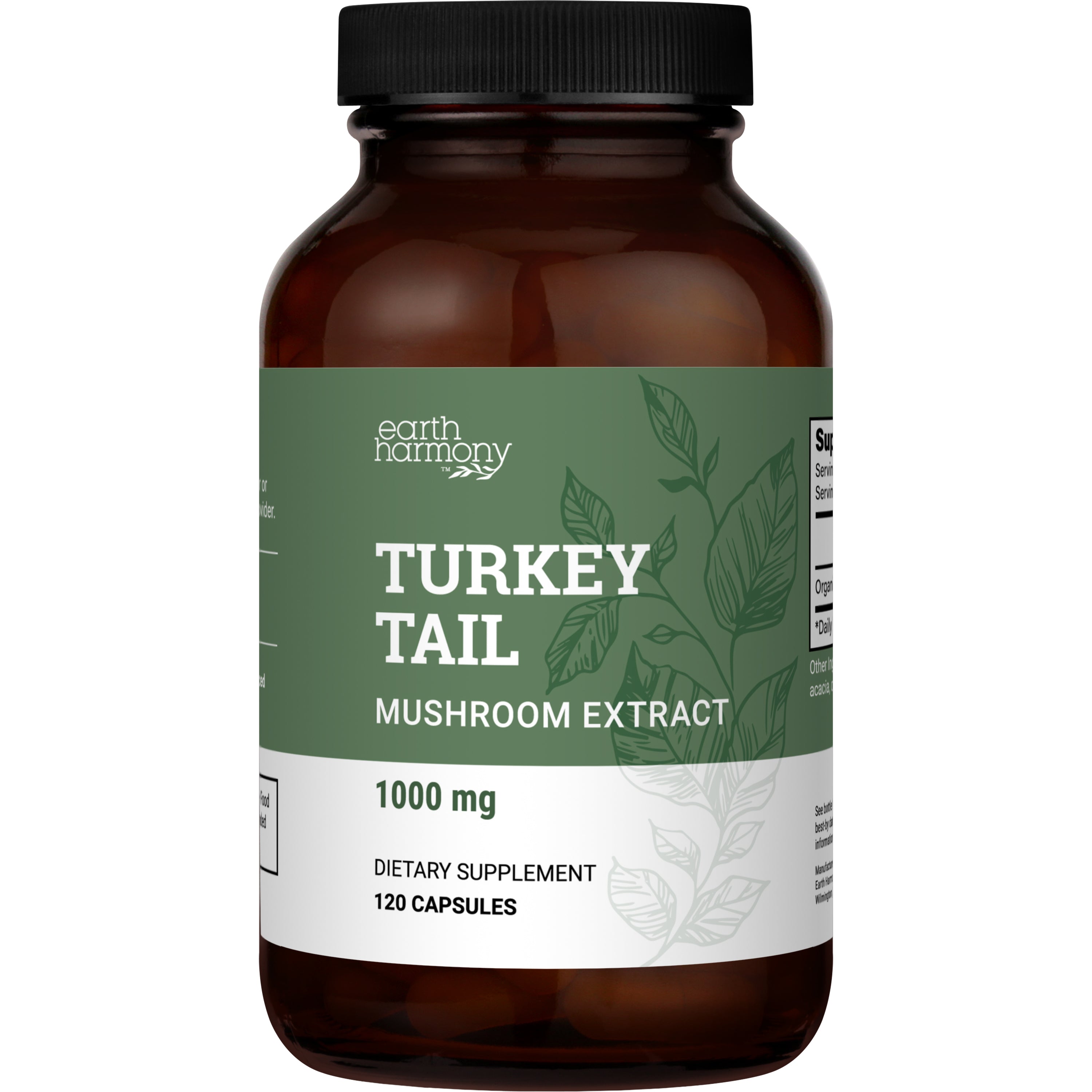Turkey Tail Mushroom Extract Recipe Turkey Tail Mushroom Extract Recipe